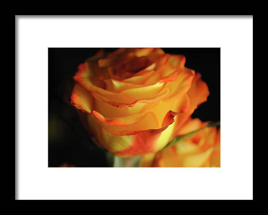 Raw Flowers 7 - Framed Print