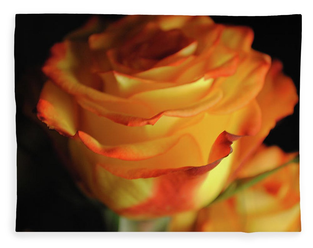 Raw Flowers 7 - Blanket