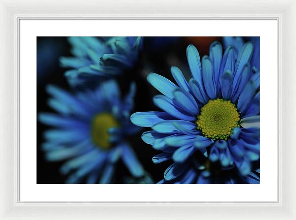 Raw Flowers 8 - Framed Print