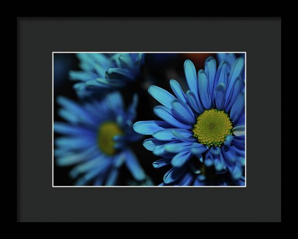 Raw Flowers 8 - Framed Print