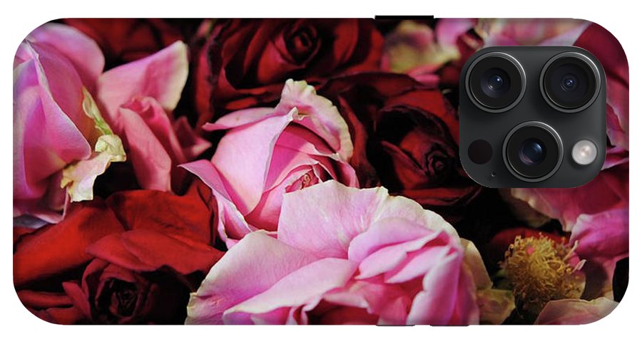 Red and Pink Rose Heads - Phone Case