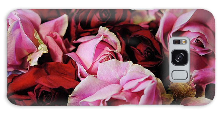 Red and Pink Rose Heads - Phone Case