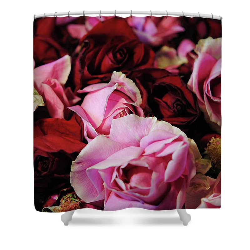 Red and Pink Rose Heads - Shower Curtain