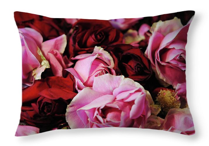 Red and Pink Rose Heads - Throw Pillow