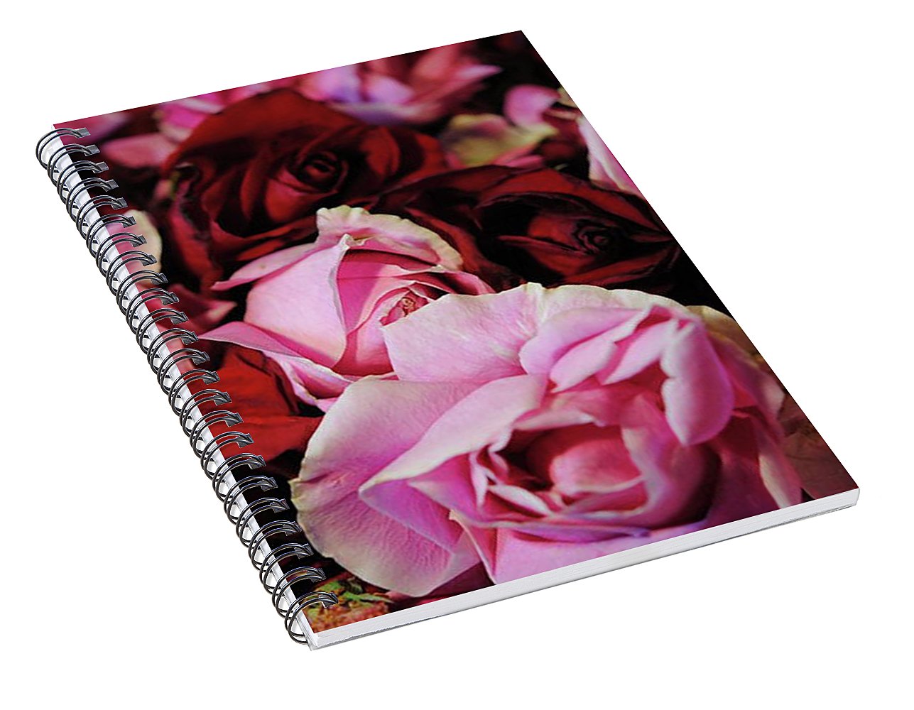 Red and Pink Rose Heads - Spiral Notebook