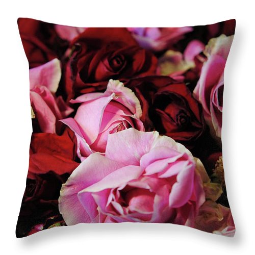 Red and Pink Rose Heads - Throw Pillow