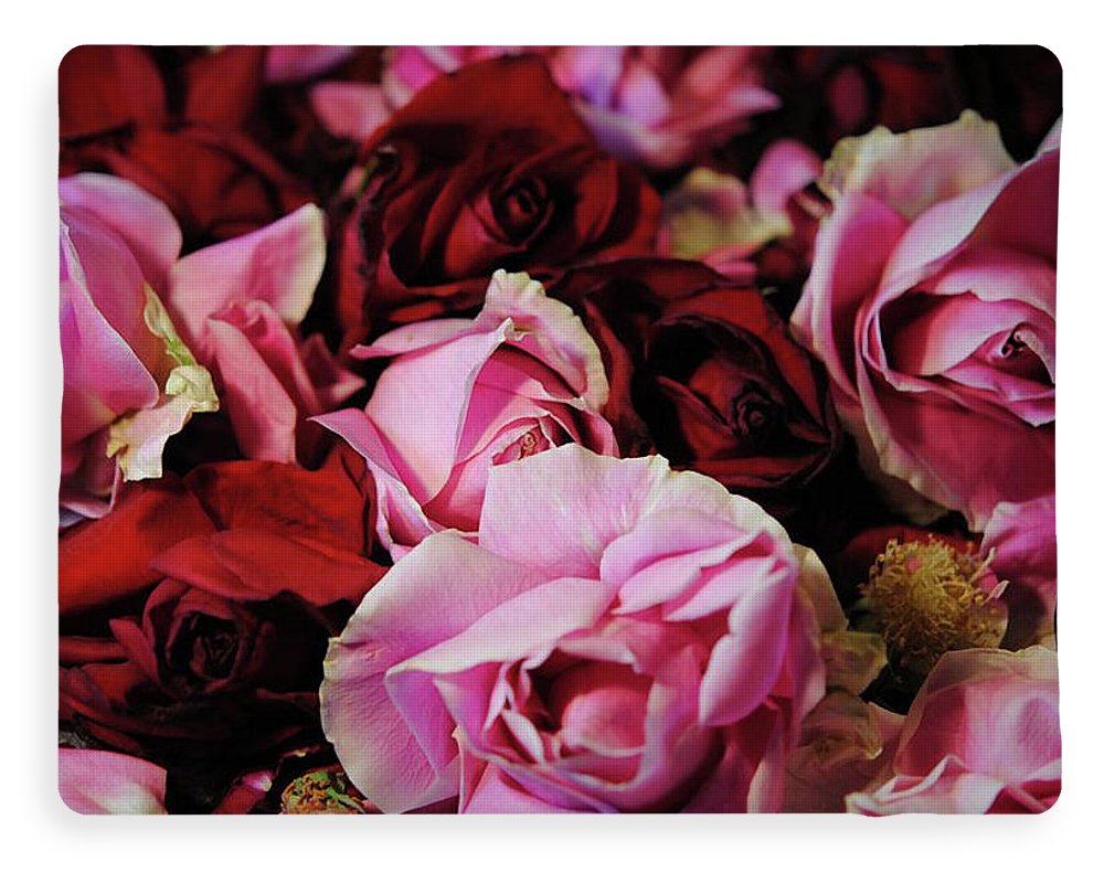 Red and Pink Rose Heads - Blanket