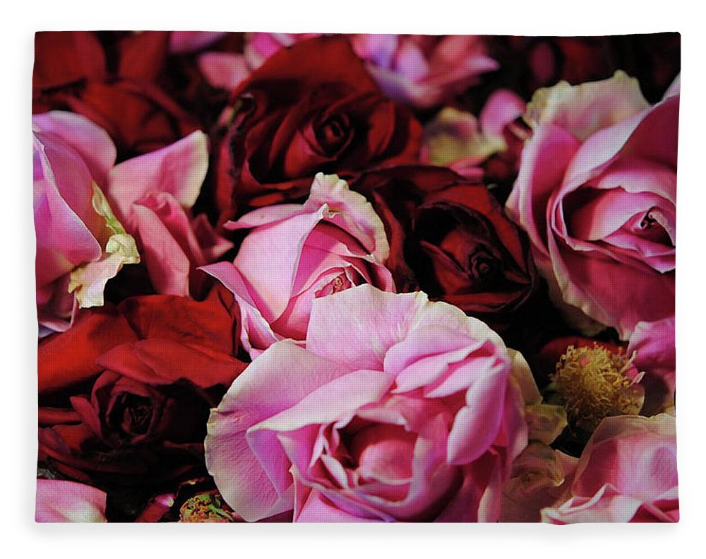 Red and Pink Rose Heads - Blanket