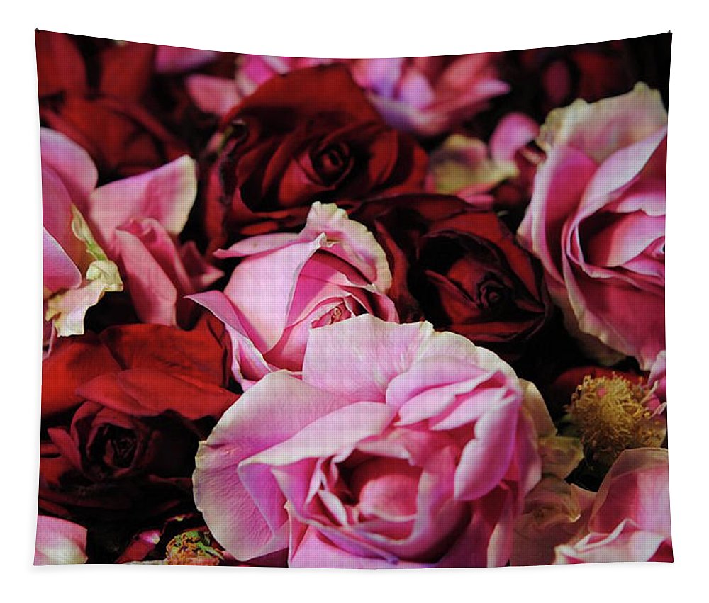 Red and Pink Rose Heads - Tapestry