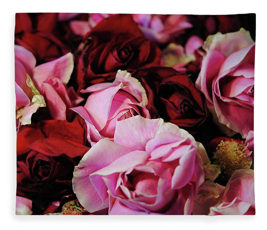 Red and Pink Rose Heads - Blanket