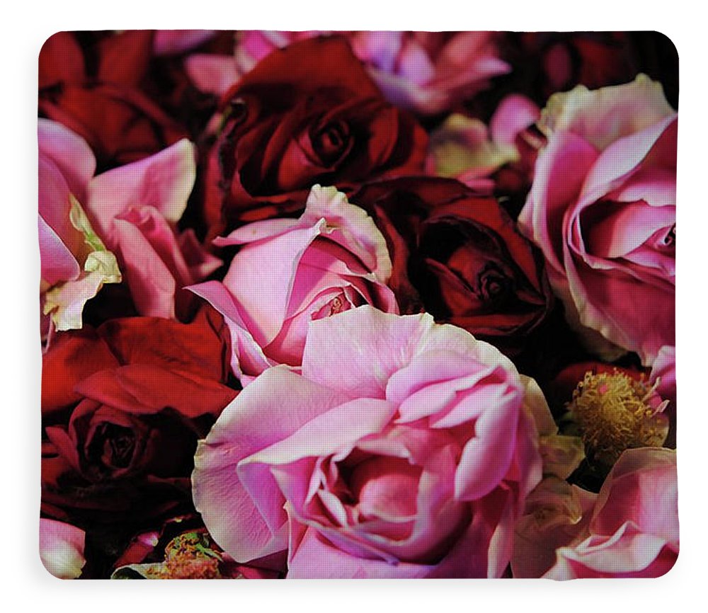 Red and Pink Rose Heads - Blanket