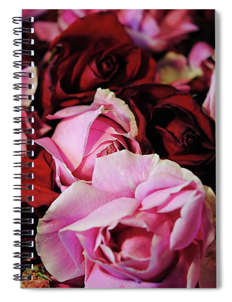 Red and Pink Rose Heads - Spiral Notebook