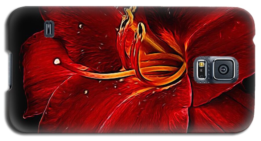 Red Daylily On Black - Phone Case