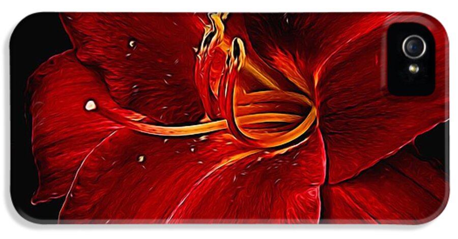 Red Daylily On Black - Phone Case