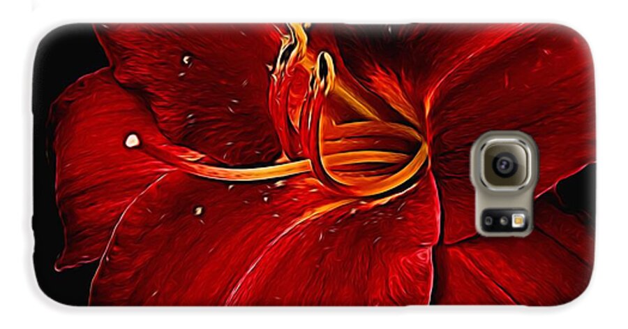 Red Daylily On Black - Phone Case