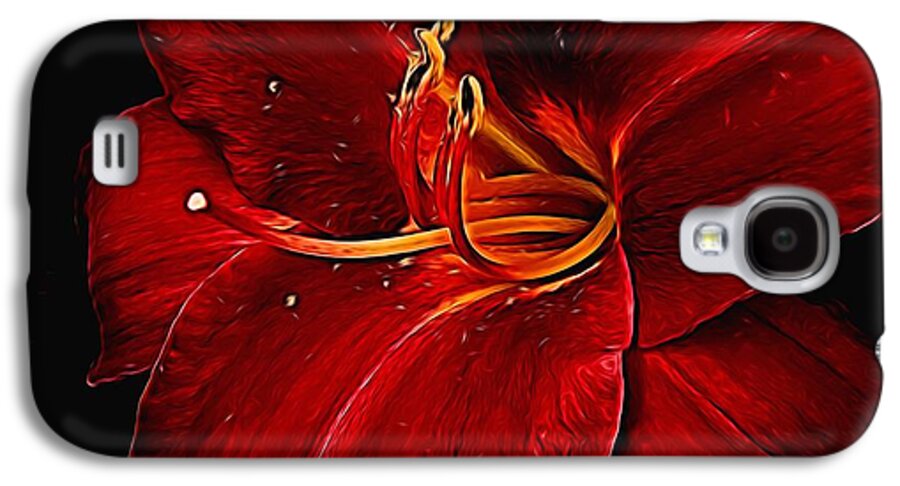 Red Daylily On Black - Phone Case