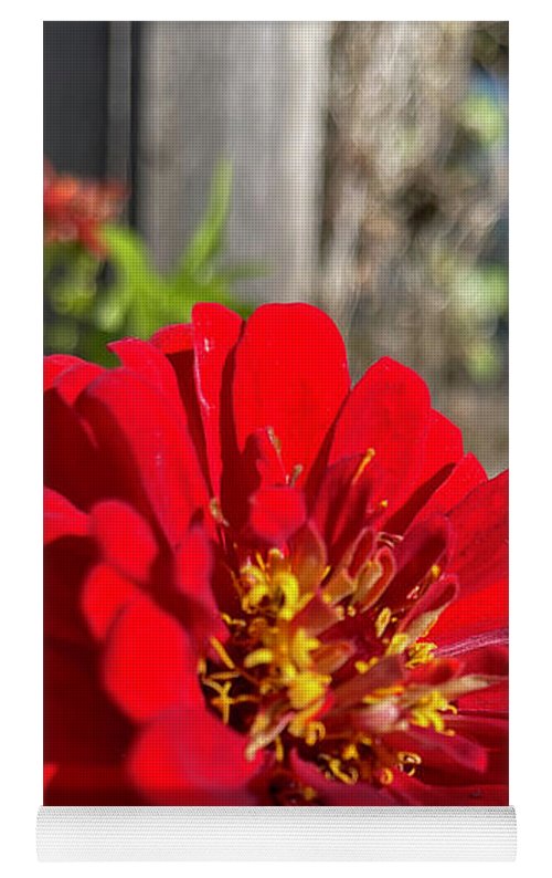 Red Flower In Autumn - Yoga Mat