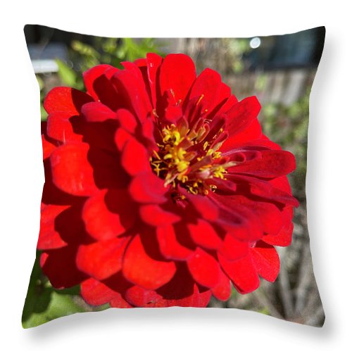 Red Flower In Autumn - Throw Pillow