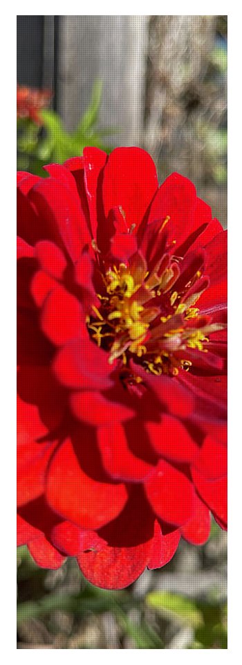 Red Flower In Autumn - Yoga Mat