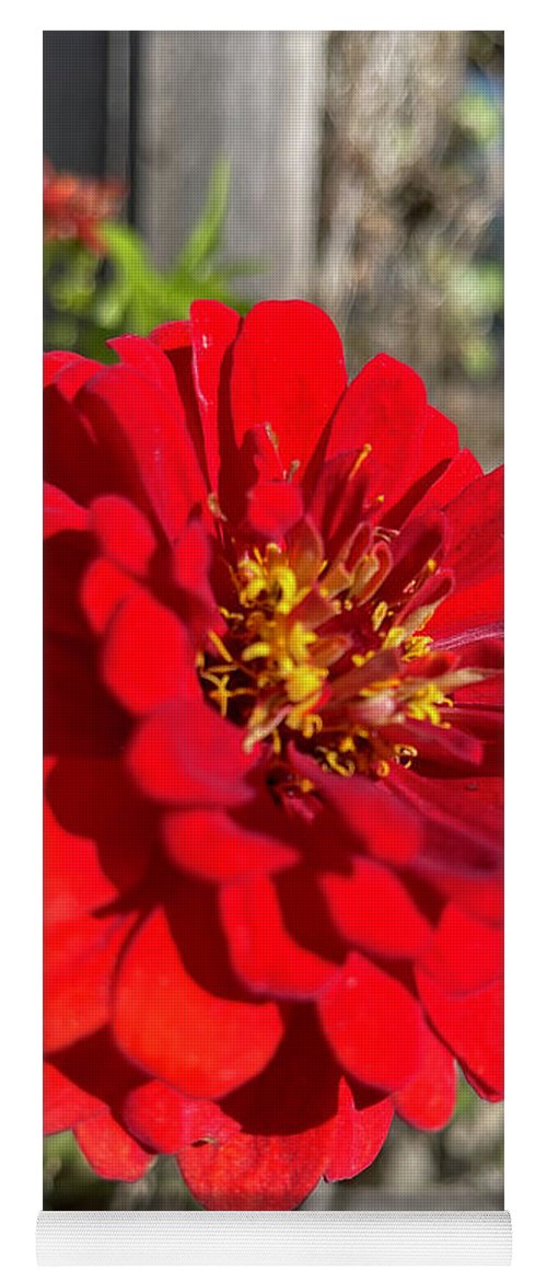 Red Flower In Autumn - Yoga Mat