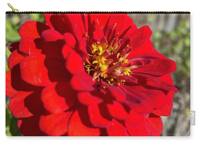 Red Flower In Autumn - Zip Pouch