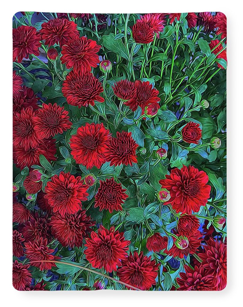 Red Mums - Blanket