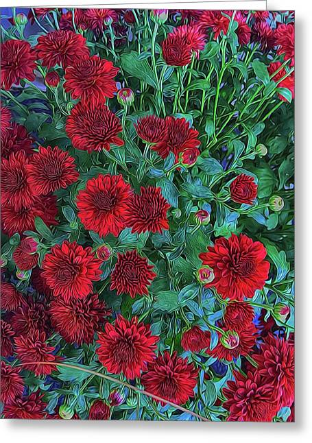 Red Mums - Greeting Card