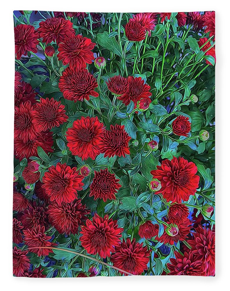 Red Mums - Blanket