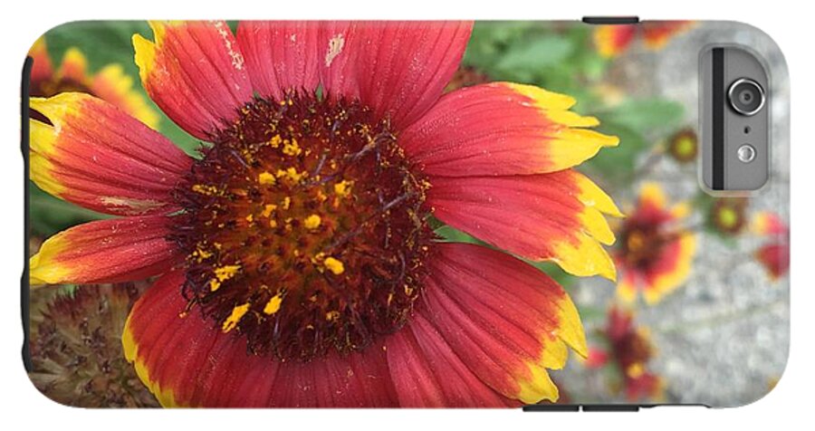 Red Orange Flower With Pollen - Phone Case