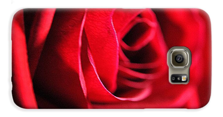 Red Rose Profile - Phone Case