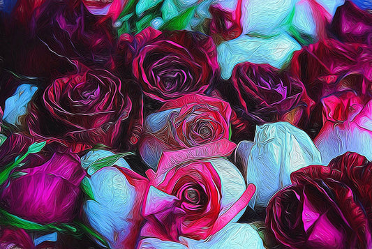 Red and White Rose Heads Digital Image Download