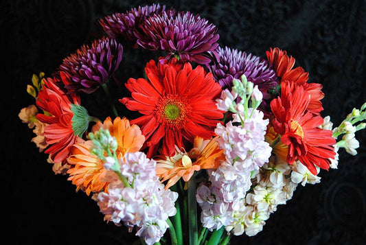 Red Daisy Bouquet Digital Image Download