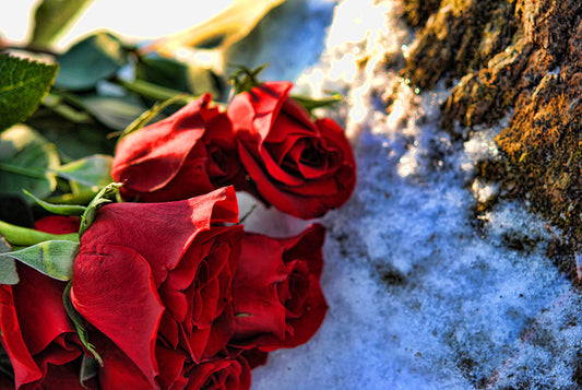 Red rose Bouquet In The Snow Digital Image Download