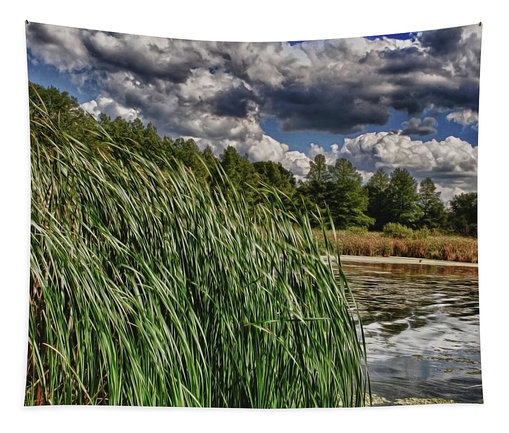 Reeds Along a Campground Lake - Tapestry