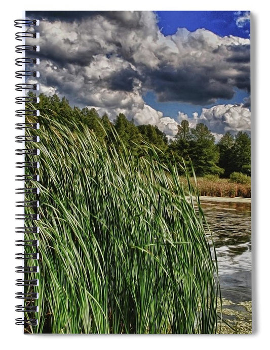 Reeds Along a Campground Lake - Spiral Notebook
