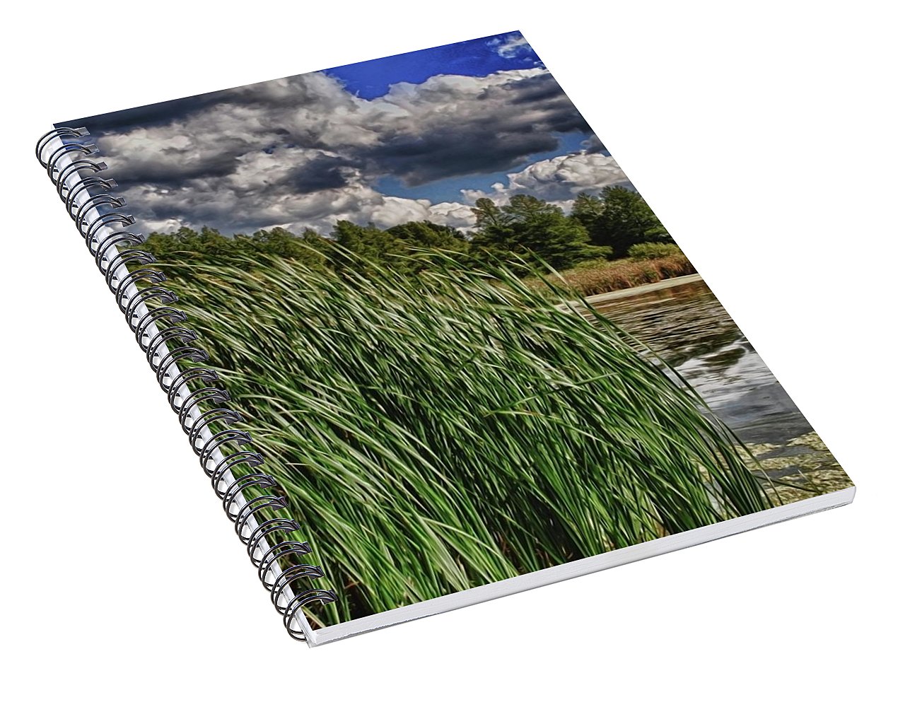 Reeds Along a Campground Lake - Spiral Notebook