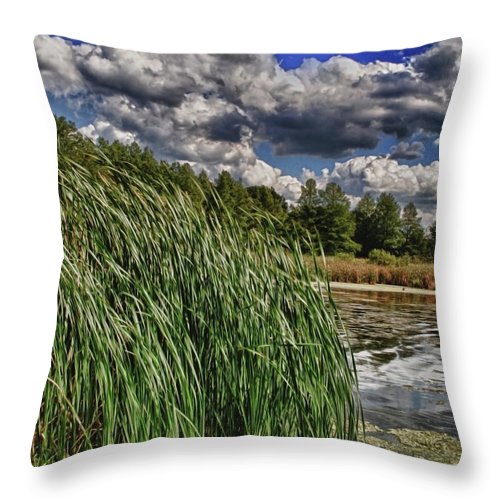 Reeds Along a Campground Lake - Throw Pillow