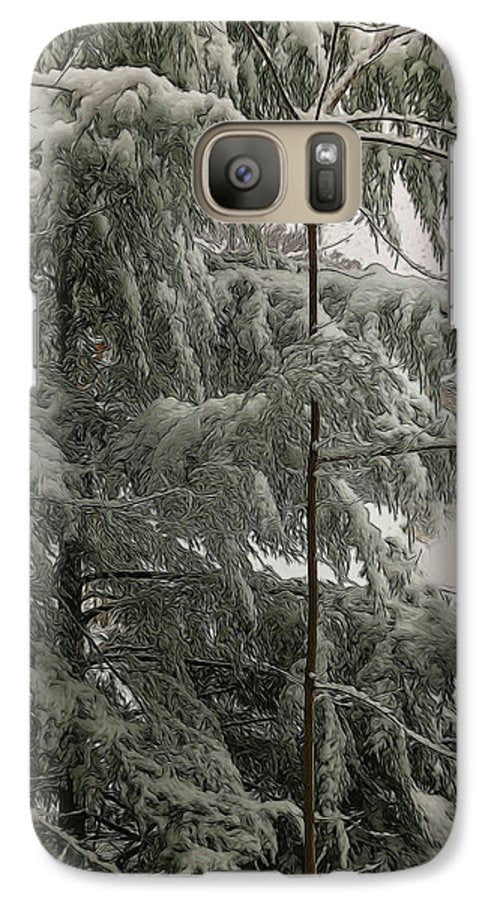 Snow Covered Pine Tree - Phone Case