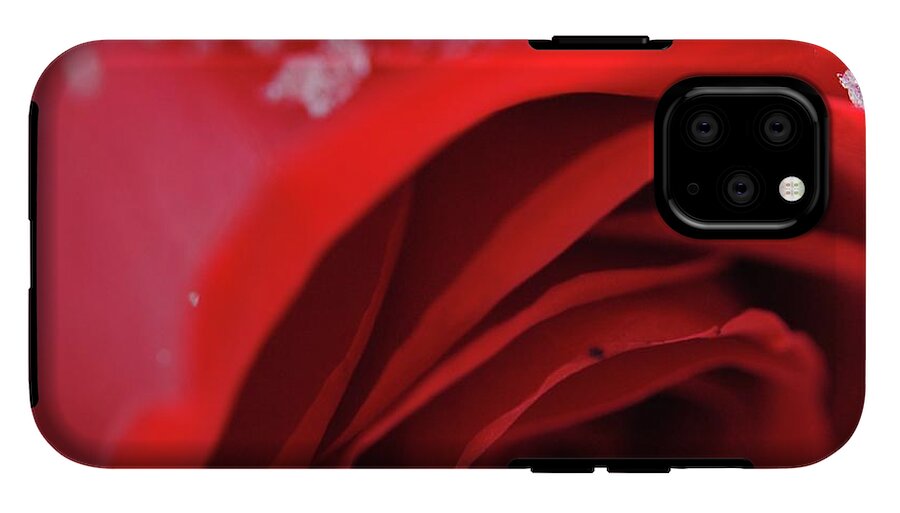 Snow Covered Rose - Phone Case