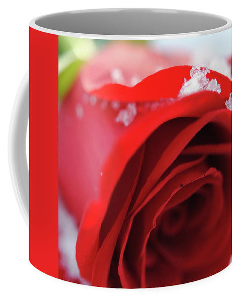 Snow Covered Rose - Mug