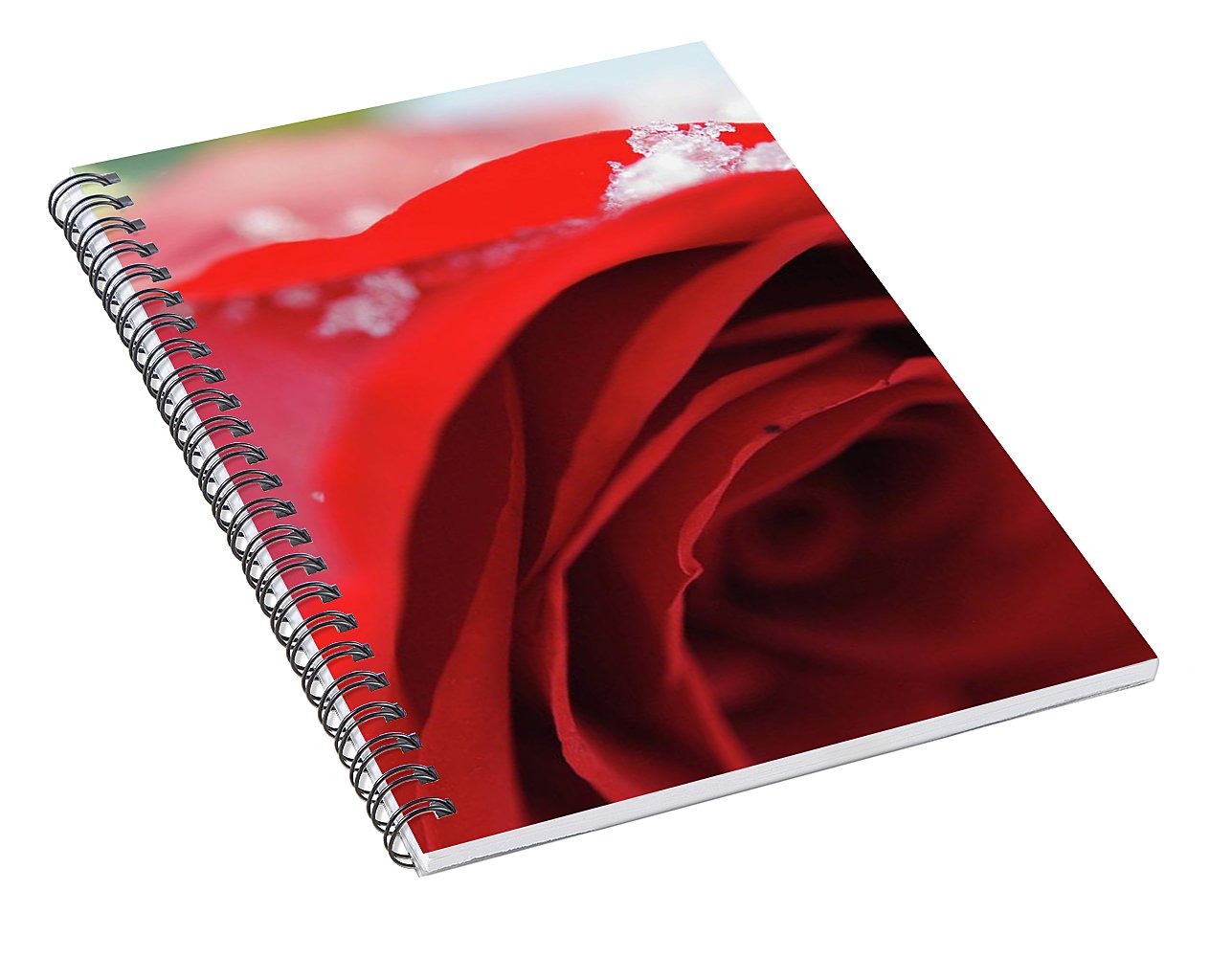 Snow Covered Rose - Spiral Notebook