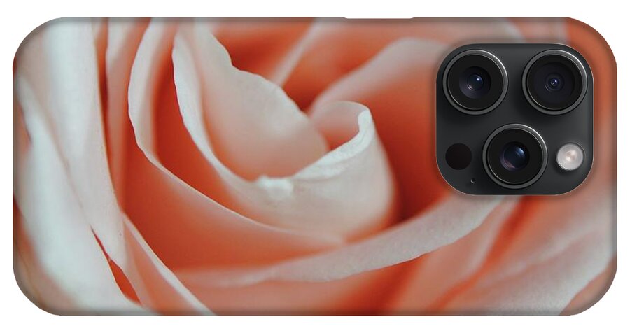 Soft Pink Rose Close Up - Phone Case