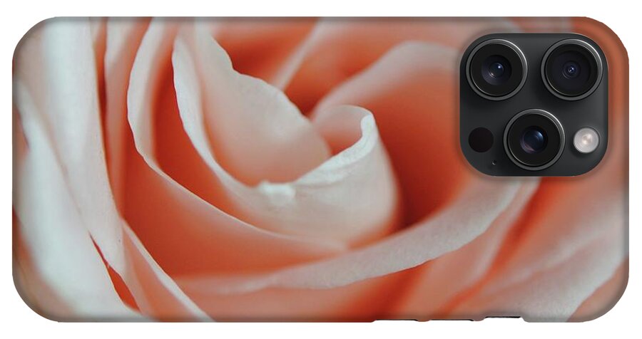 Soft Pink Rose Close Up - Phone Case