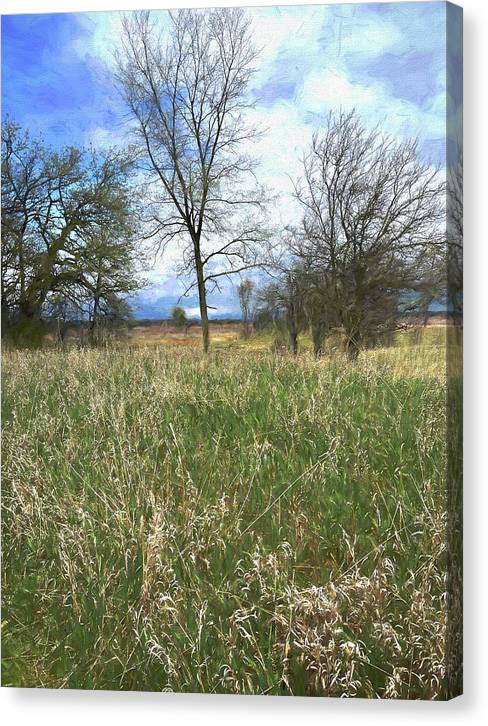 Spring Prairie Grass Landscape - Canvas Print