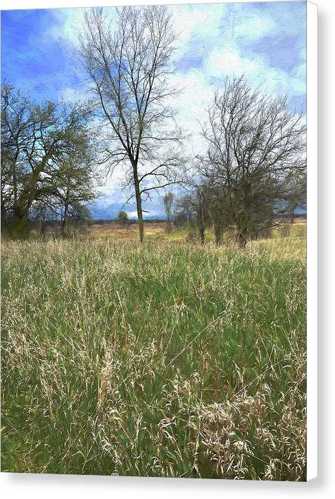 Spring Prairie Grass Landscape - Canvas Print