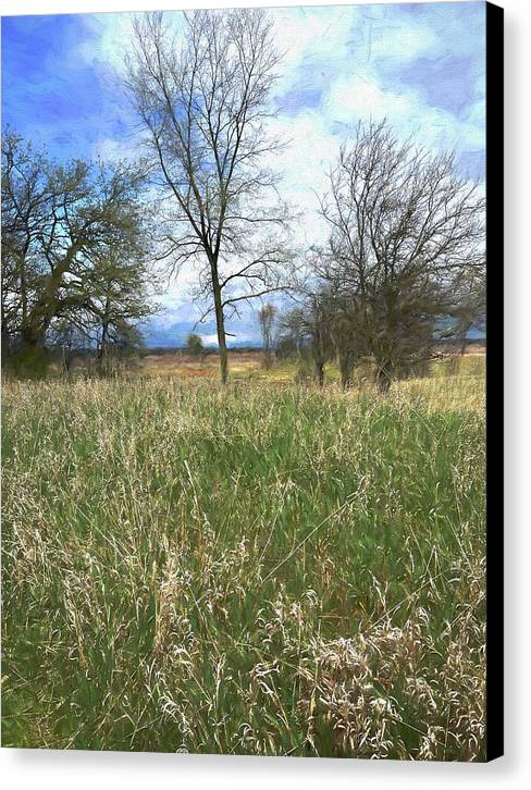 Spring Prairie Grass Landscape - Canvas Print