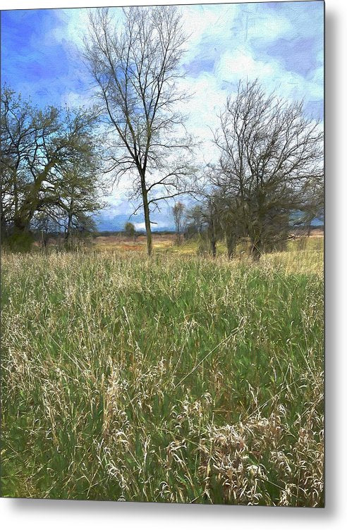 Spring Prairie Grass Landscape - Metal Print