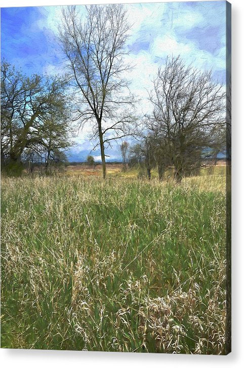 Spring Prairie Grass Landscape - Acrylic Print