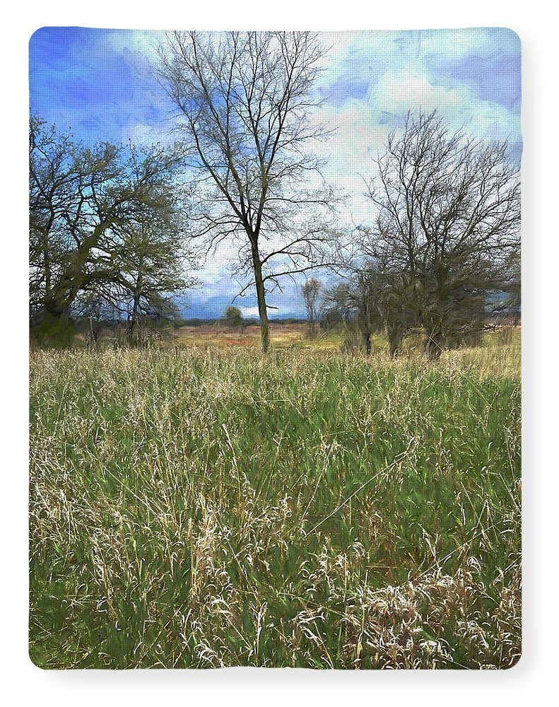 Spring Prairie Grass Landscape - Blanket
