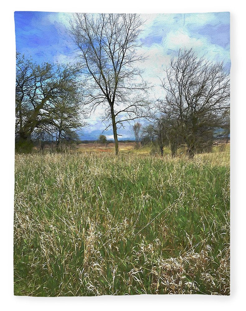 Spring Prairie Grass Landscape - Blanket